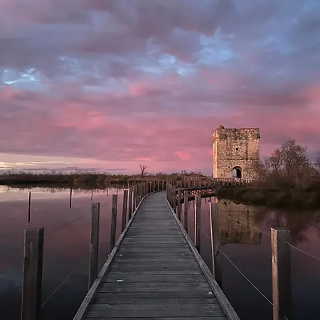 Maison Avec Jardin En Petite Camargue Σπίτι διακοπών