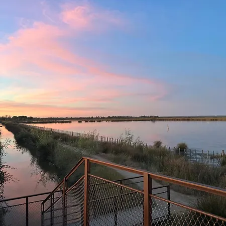 Maison Avec Jardin En Petite Camargue