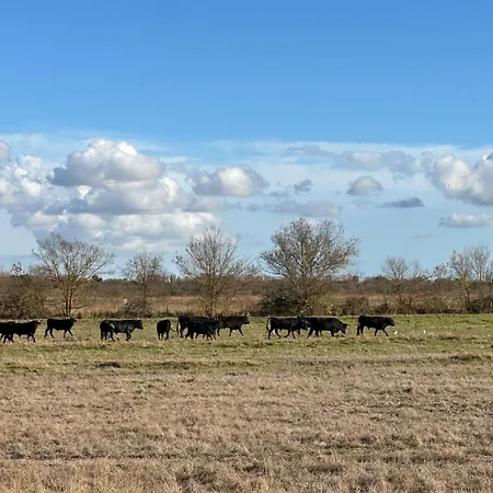 Maison Avec Jardin En Petite Camargue *